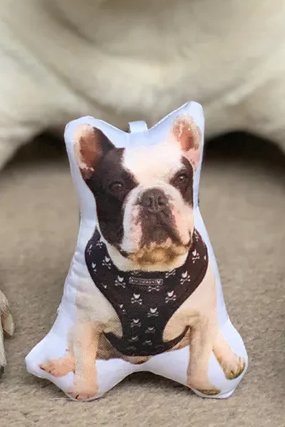 Mini Pet Keychain — print-on-demand product photo